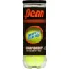 Penn Championship Extra Duty Single Can Tennis Balls