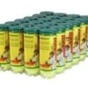 Wilson Championship Tennis Balls Regular Duty 24/Case 1 Wilson Championship Tennis Balls Regular Duty 24/Case -Wilson Store wilson championship tennis balls regular duty 24 c