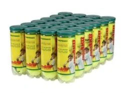 Wilson Championship Tennis Balls Regular Duty 24/Case